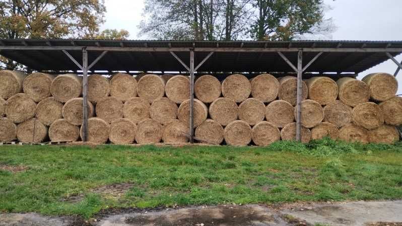Słoma w belach 120/130 – sucha, pod dachem