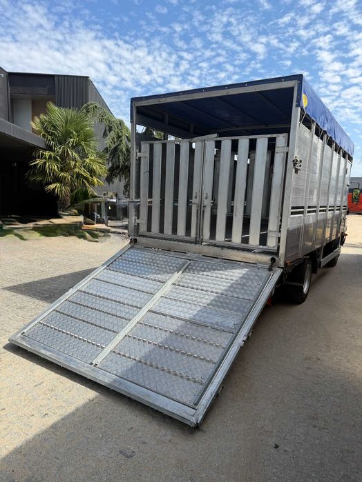 Toyota dyna transporte de animais vivos
