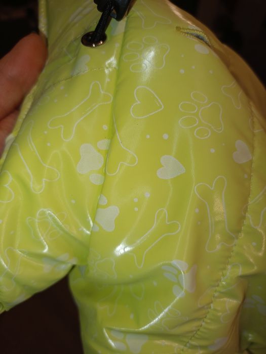 Kurteczka śliczna dla pieska