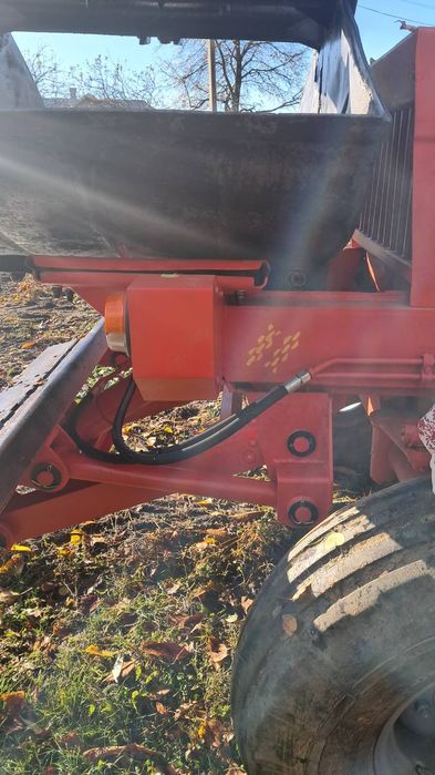 Продається карпатець