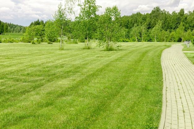 Покіс трави, прибирання території, вирубка дерев, встановлення тротуарів та бордюрів любої складності