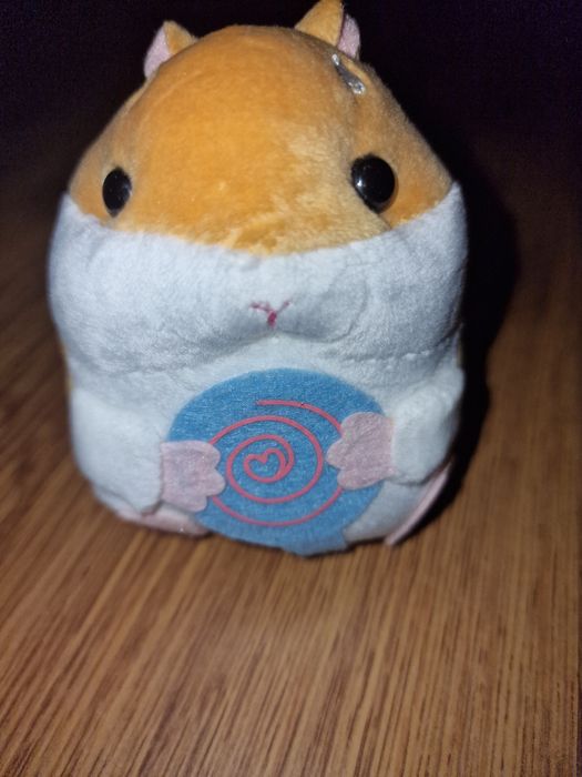 Śliczny bryloczek chomik