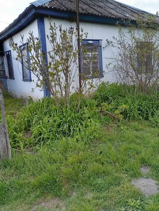 Продам будинок з земельною ділянкою - Görünüm 3