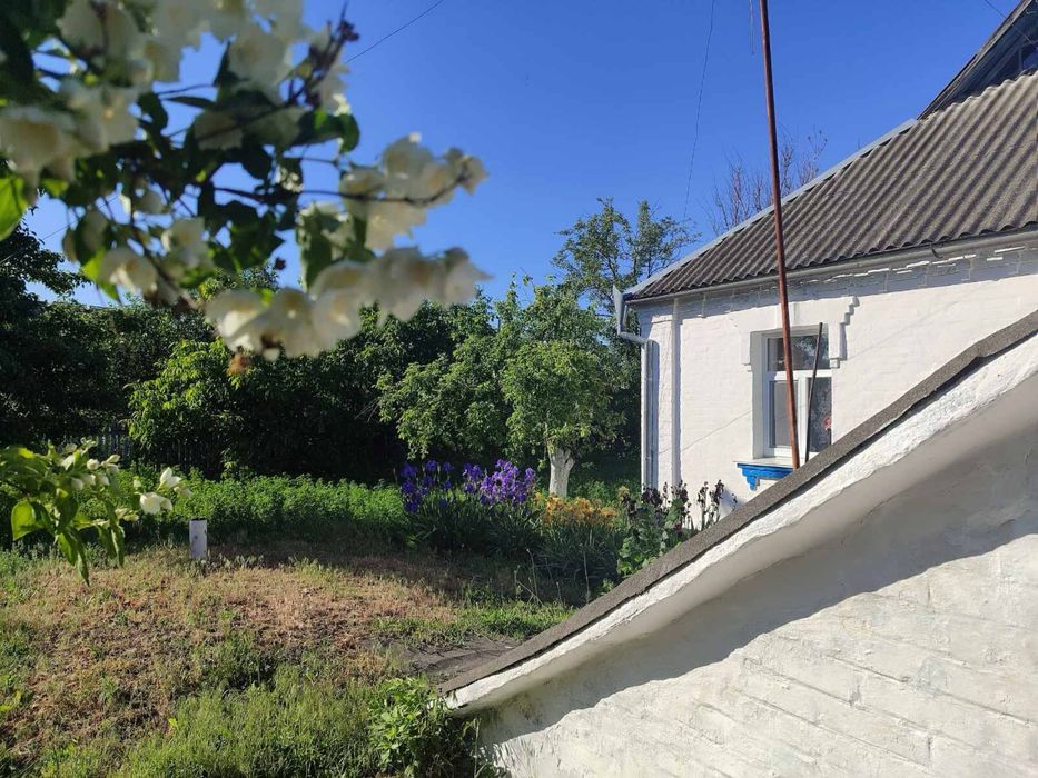 ТЕРМІНОВО‼️продам будинок в селі Лосятин !