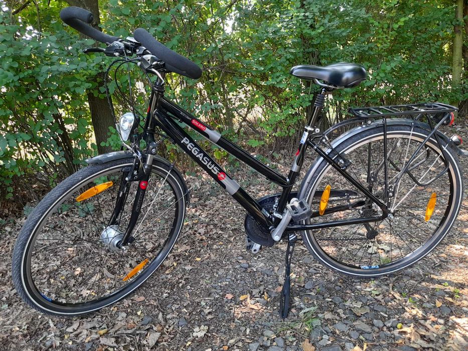 Rower Pegasus Solero