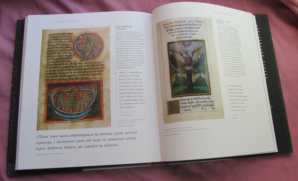 Гаррі Поттер: Історія магії Джоан Ролінґ ілюстроване видання