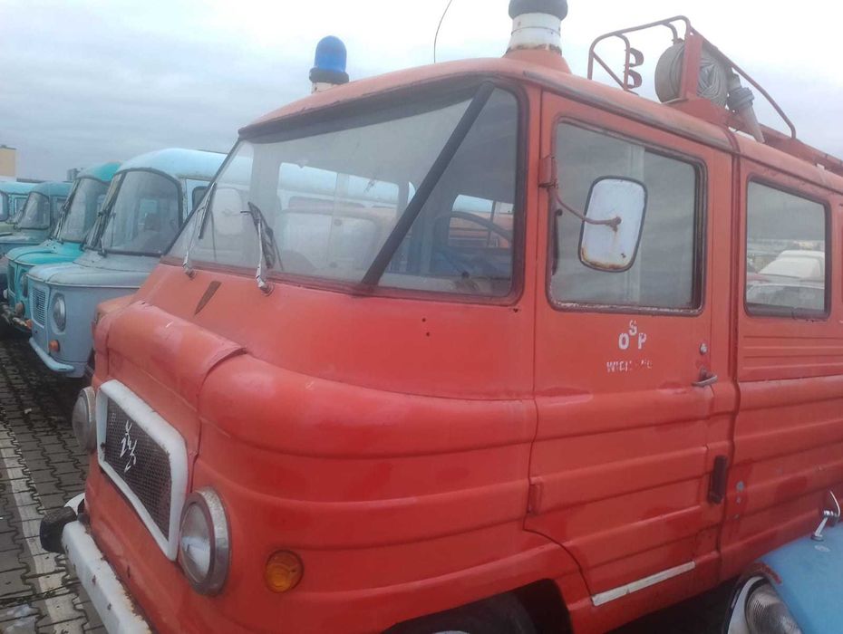 Piękny Żuk (smutek) Super Okaz.