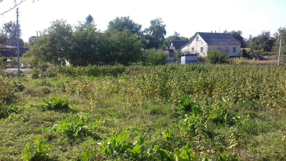 Продаю земельну ділянку