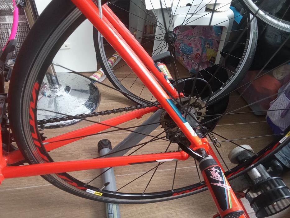 Bicicleta ciclismo trek