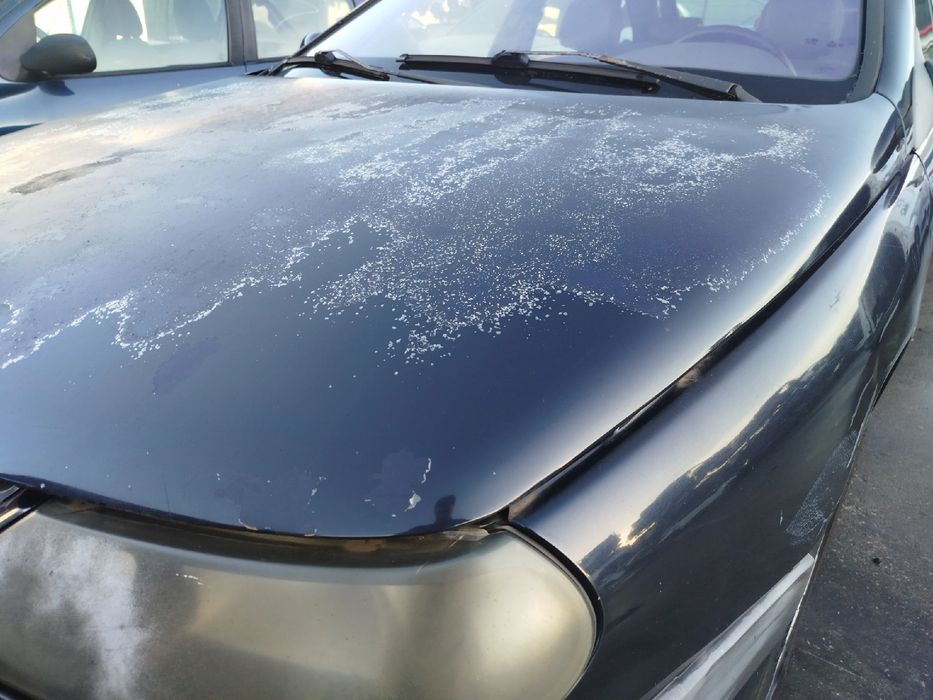 Capot RENAULT Laguna I (B56_, 556_)