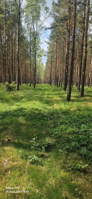 Dom całoroczny, 9 os.,  wakacje nad jeziorem