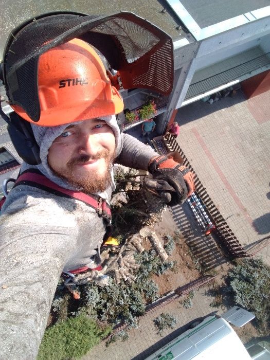 wycinka skracanie drzew ogrody rębak spalinowy frezowanie korzeni