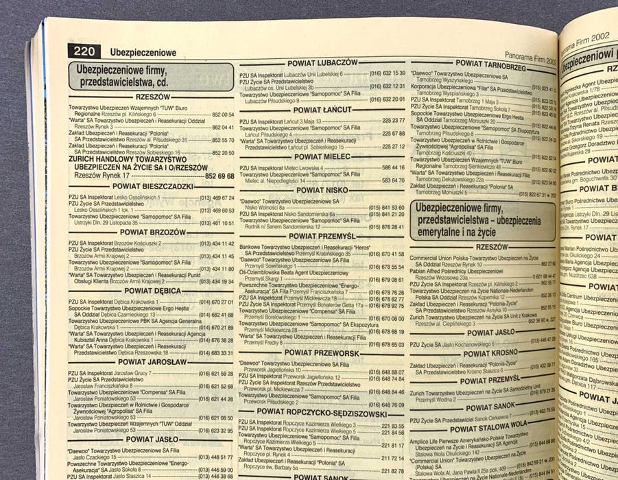 Panorama Firm - Rzeszów 2002