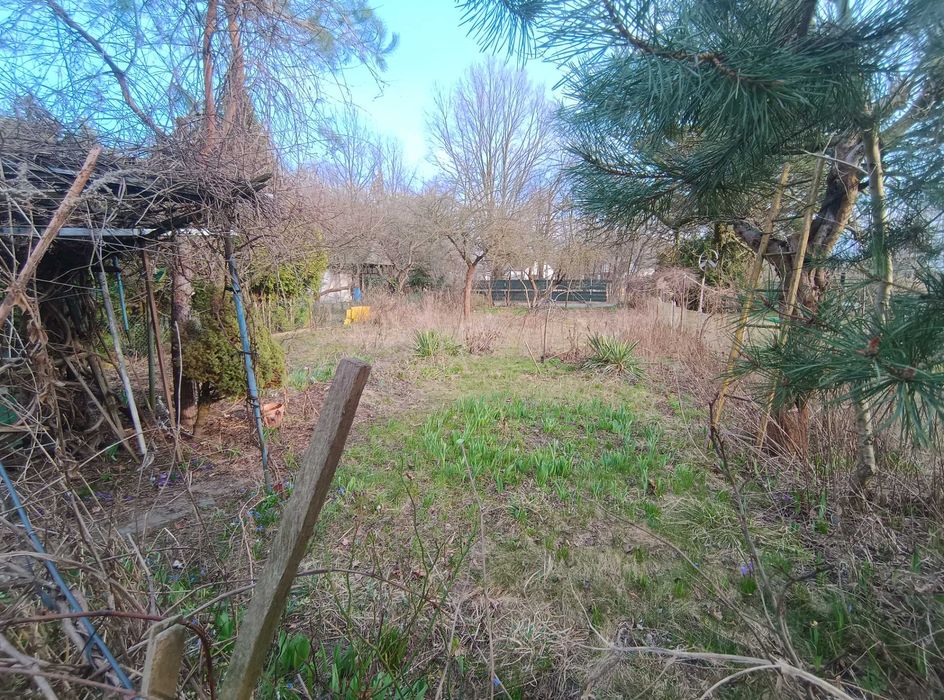 Sprzedam ogródek działkowy ROD 300 m² Grodzisk Maz.  na terenie ROD " Mazowiecki Sad " ul. Bałtycka. - View 2