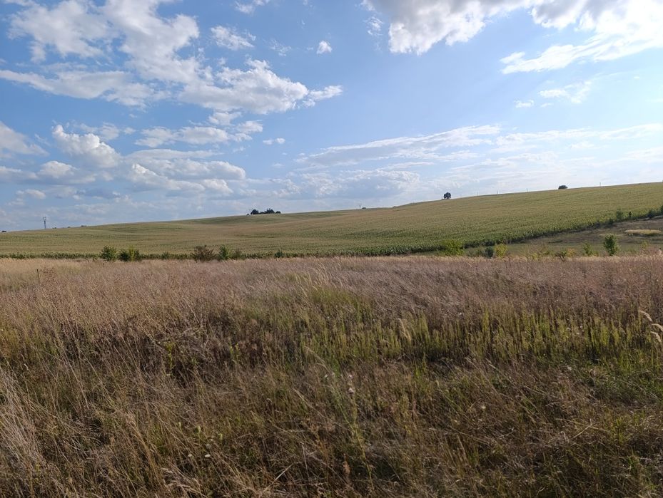 Продам земельну ділянку
