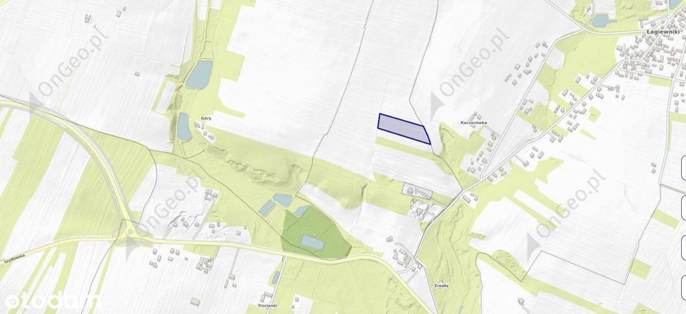 Sprzedam pole orne 1,13 ha – Zrecze Małe (gm. Chmielnik)
