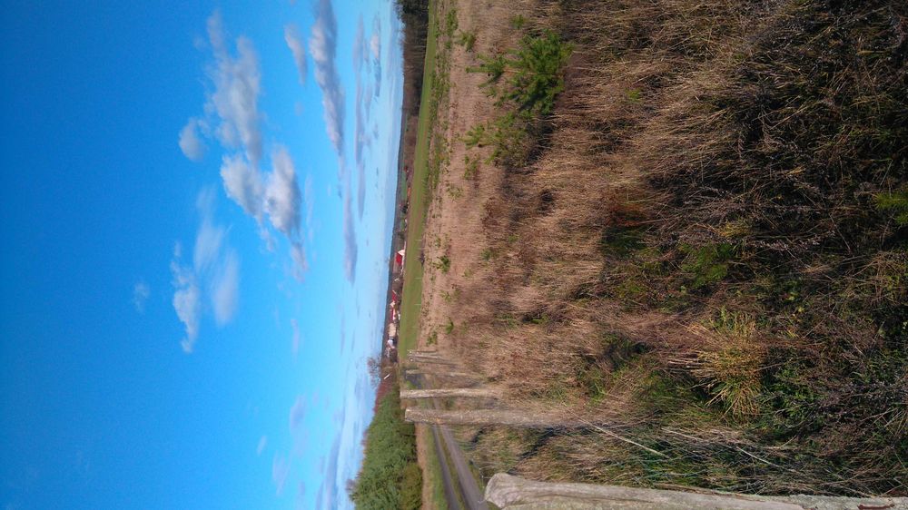 Działka rolno-budowlana Laski Lubuskie pow. Słubice 85 km.od Berlin