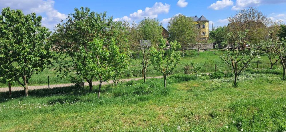 продається господарство