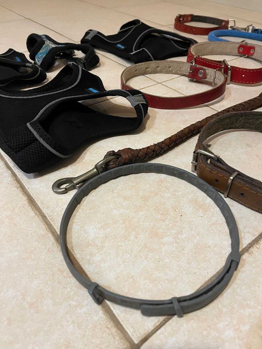 4 Szelki dla Psa XL, M, S, 2 Smycze, 5 Obroży i Regulowany Kaganiec