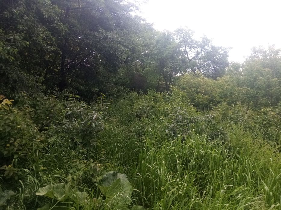 Продається дача в селі Клузів