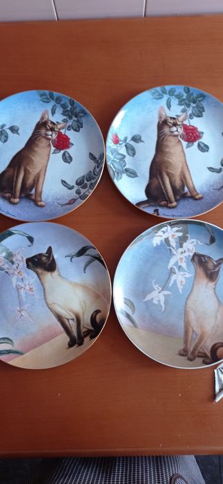Pratos decorativos