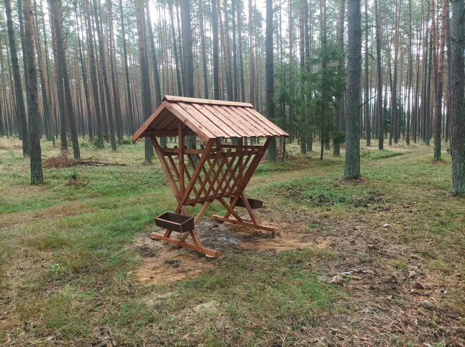 Paśnik dla saren