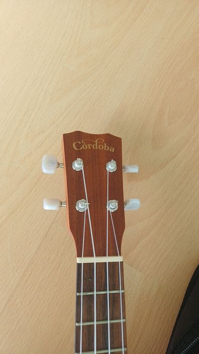 ukulele de concerto Cordoba Protégé UP100.
