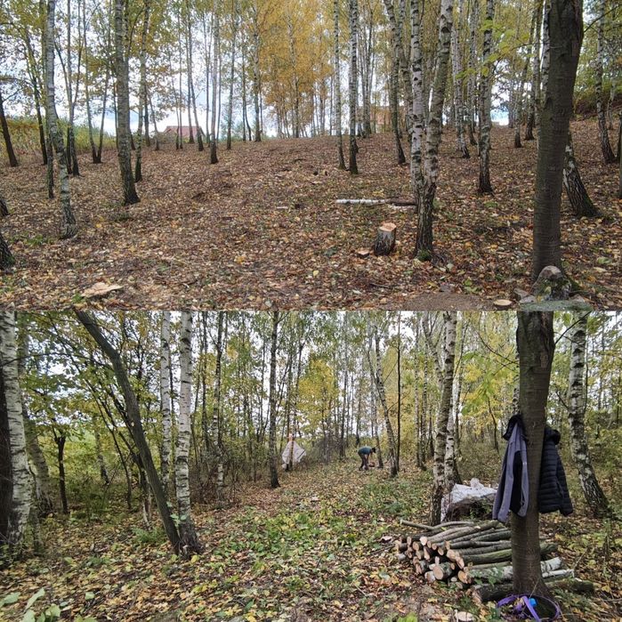 Karczowanie działek. Wycinka. Rębak.