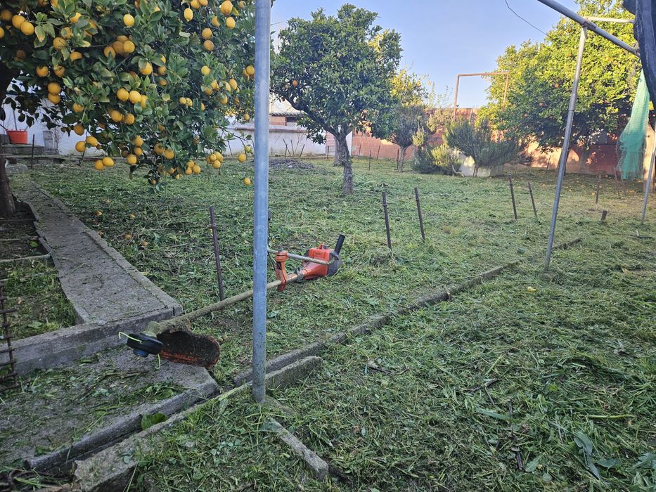 Pinturas entre outros serviços