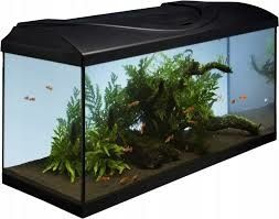Zestaw akwariowy 80cm. 112 litrów Led