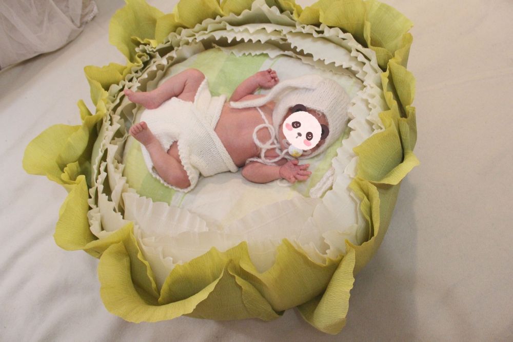 Капуста для фотосесії новонароджених, атрибути для фото, фотозона