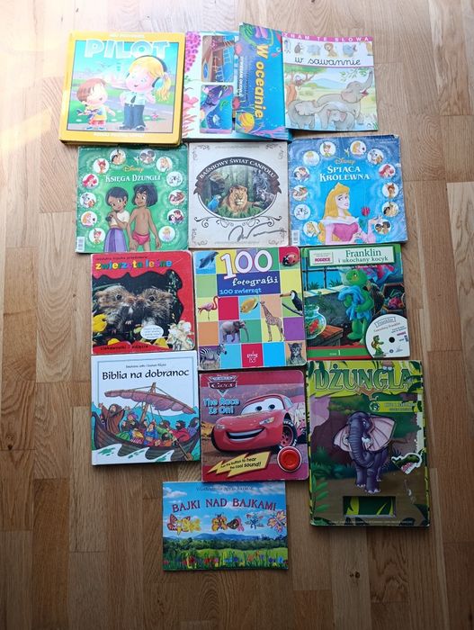 Zestaw 13 książek.