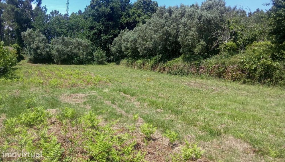Venda de Terreno para construção, Nogueira, Viana do Castelo. — Nogueira, Meixedo E Vilar De Murteda, Viana do Castelo