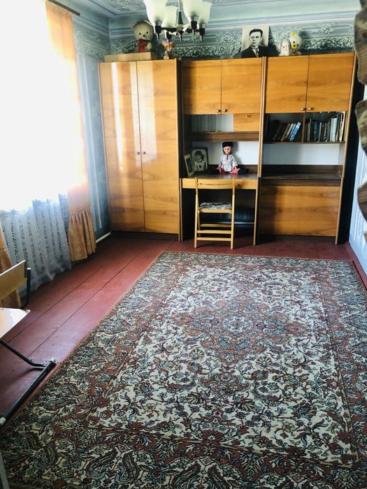 Продам будинок в с.Олешків