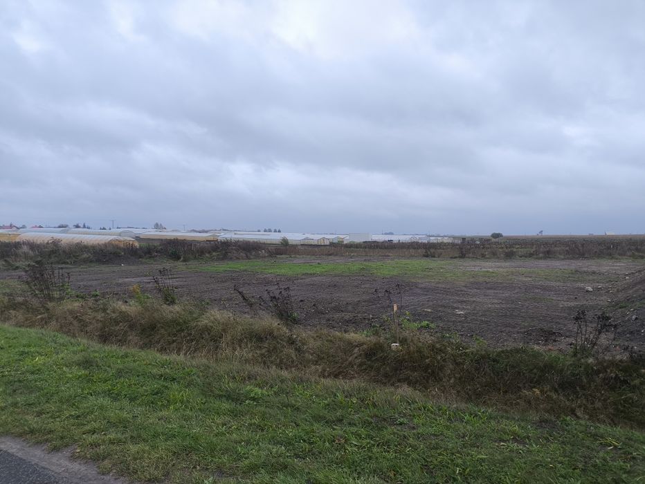 Działka budowlana 1000m2 z warunkami zabudowy-Bujny k. Piotrkowa Tryb.