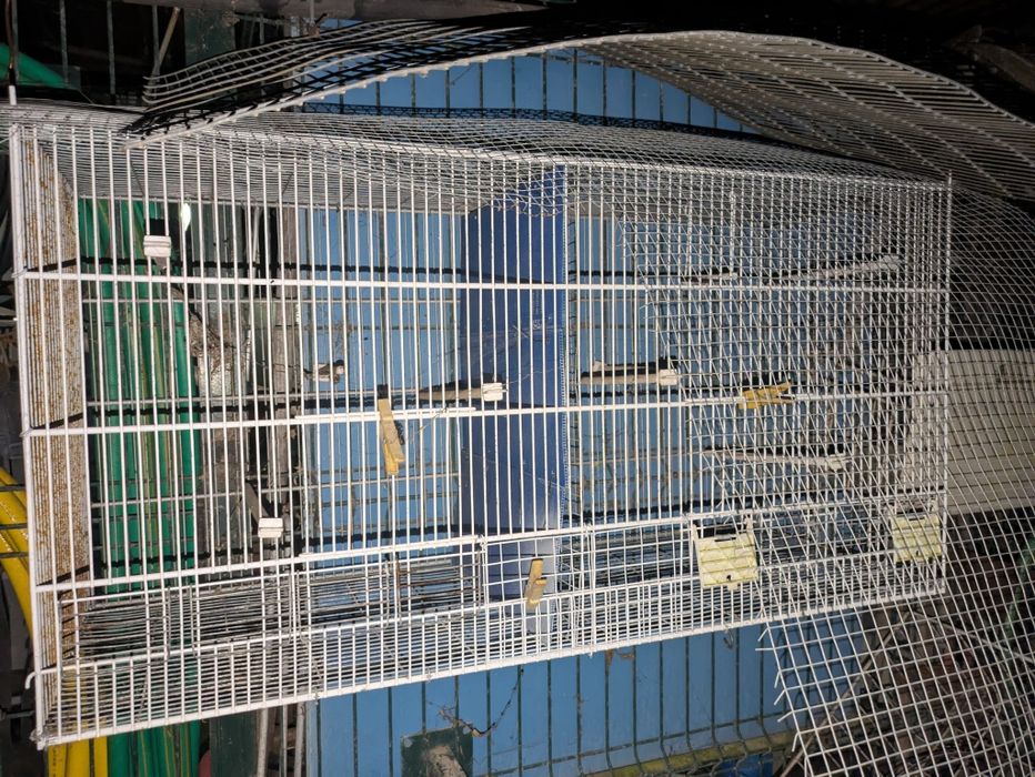 Gaiolas em segunda mão
