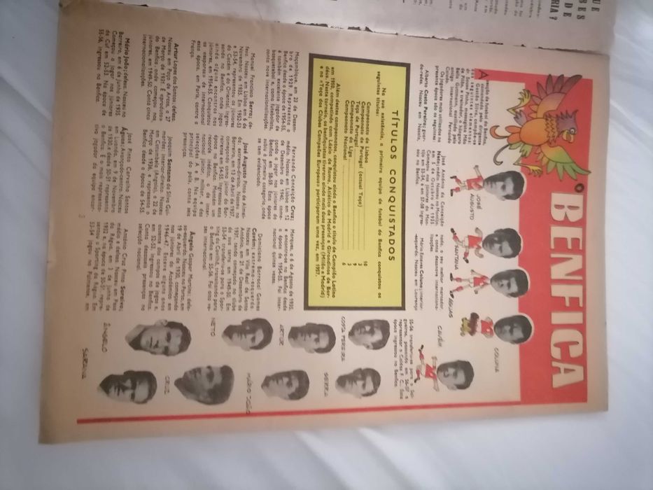 Equipa do BENFICA 1960 Cavaleiro Andante Completo