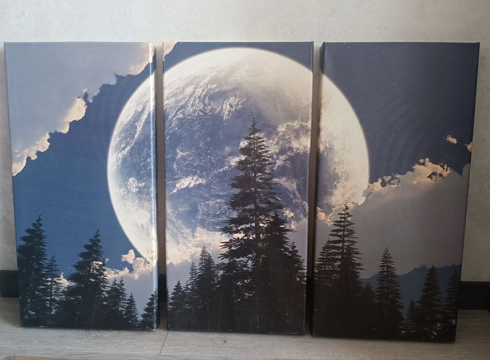 картини 30 на 60 см