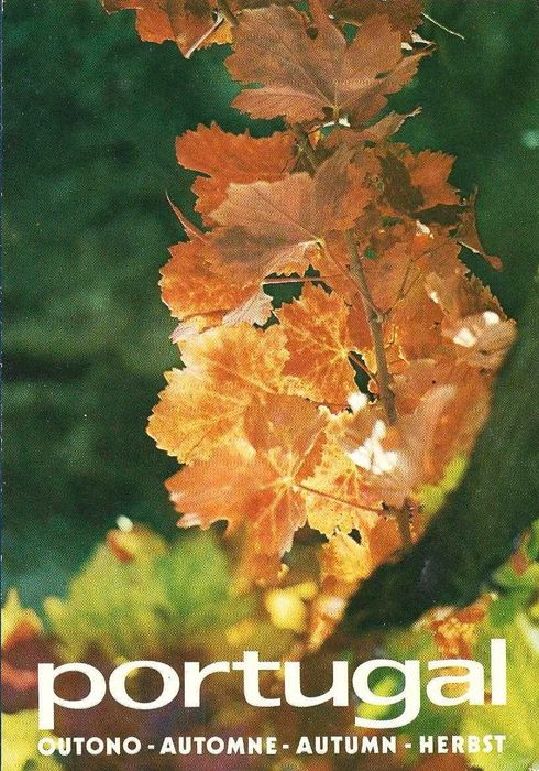 Portugal Turístico - - - Postais antigos ( 30 anos ) - - - - - Postais