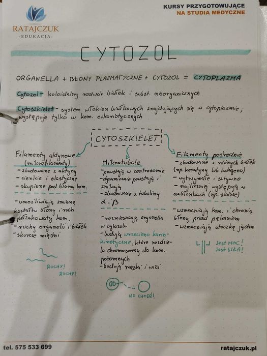 Notatki maturalne biologia i chemia + tablice + zadania