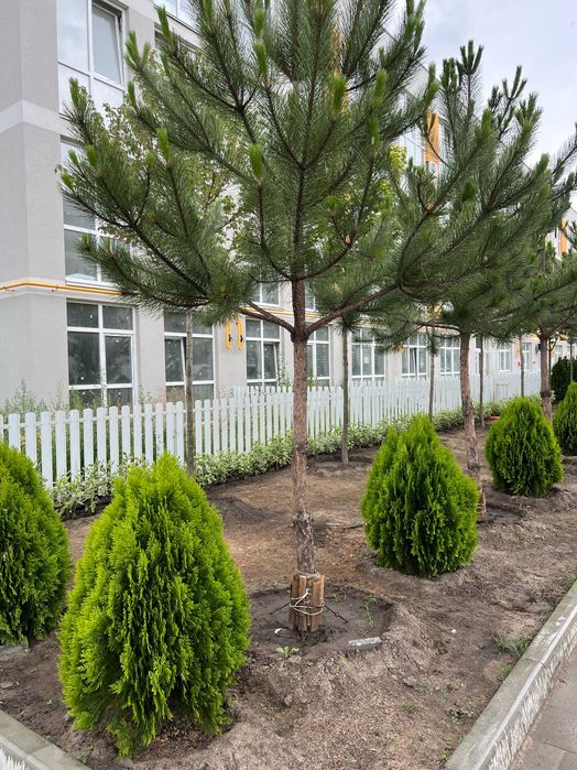 Продаж 1к-Квартири з двориком 38,58м2 ЖК Sanville Park