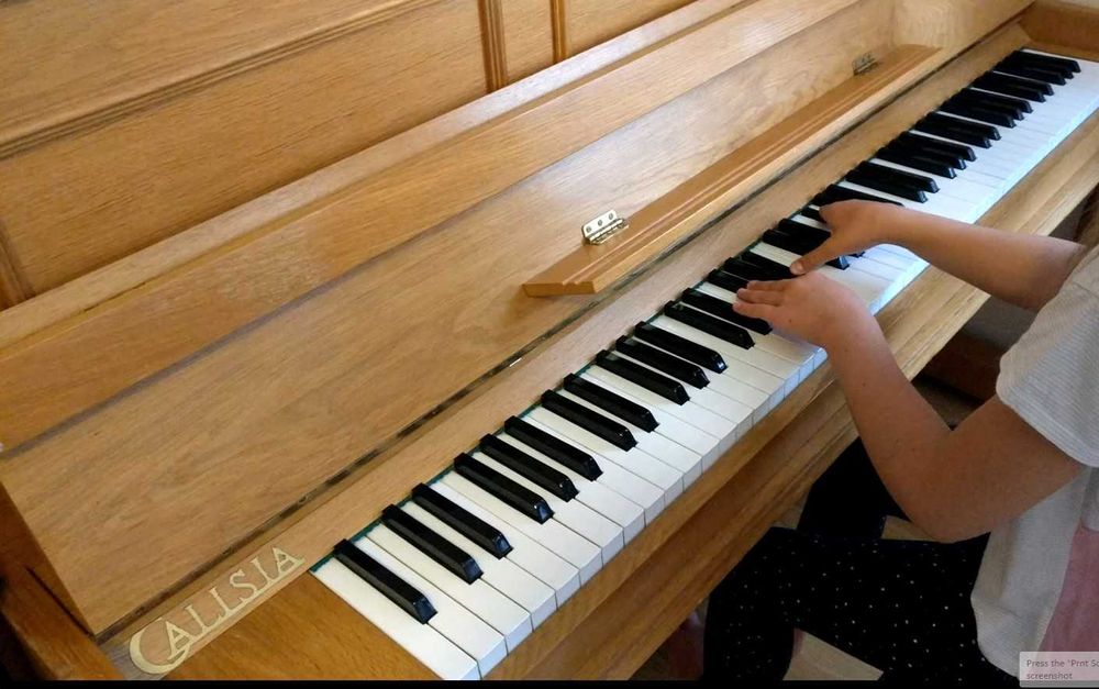 Настройка піаніно (з дрібним ремонтом тощо) , 1000 грн, гарантія