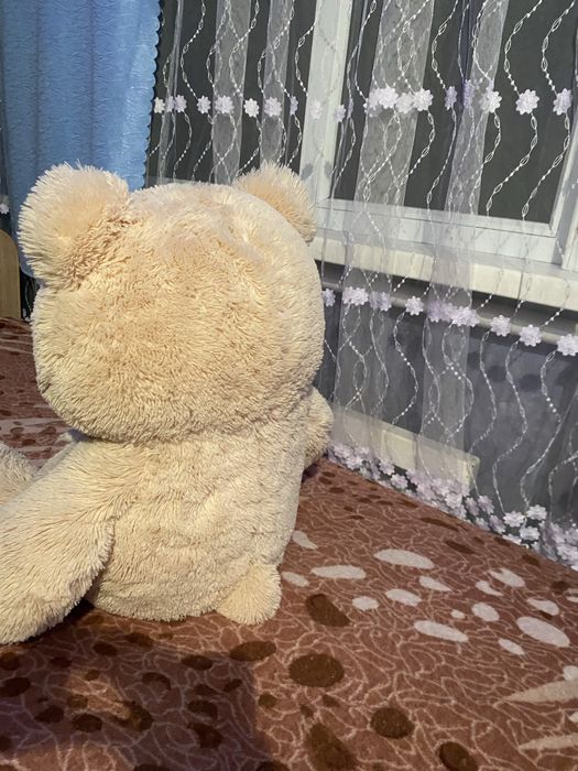 Ведмедид в хорошому стані