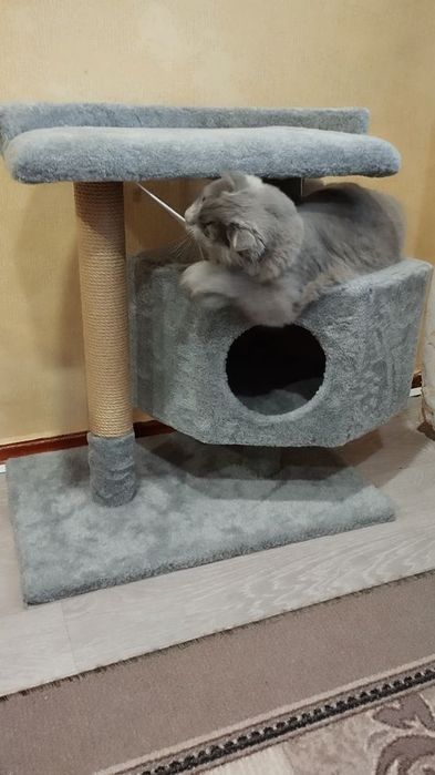 Будиночок для котика. Хатинка для кот