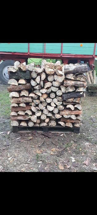 Drewno drzewo opałowe/kominkowe