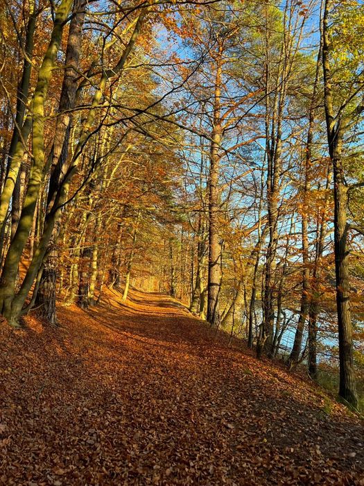 Czarne Domki nad jeziorem z balią/ jacuzzi i sauną