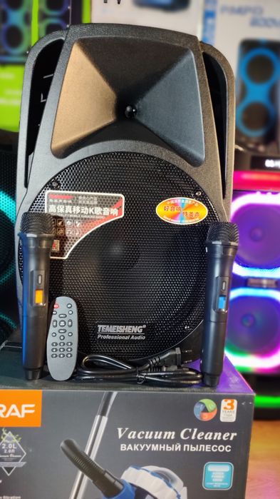 Караоке акустика Temeisheng-18, Bluetooth,SD,USB,FM,ПультДУ,2штмикро