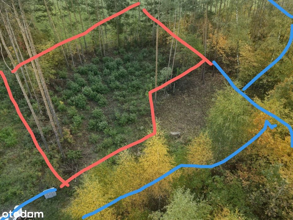 Działka w Ostrowi Mazowieckiej 1119m² MPZP (pozwolenie na budowę) - Widok 4
