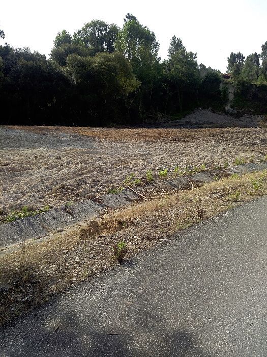 Terreno rústico em zona urbana