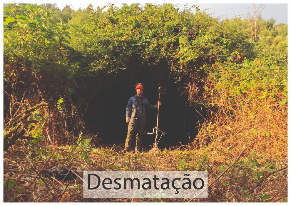 Arborismo e Jardinagem.